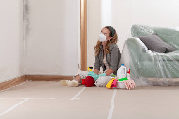 Trusted Basement Mold Remediation service in Smithfield, NC - Cheap Mold Removal
